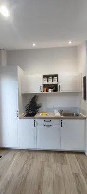 Cuisine ou kitchenette dans l'établissement Studio entre forêt et lac