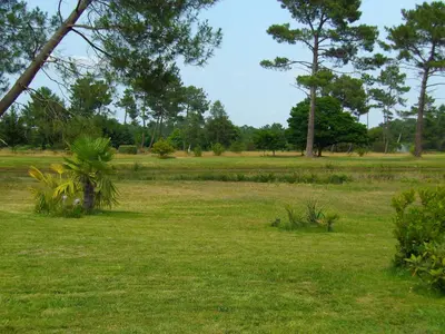 Paysage naturel près de le B&B/chambre d'hôtes