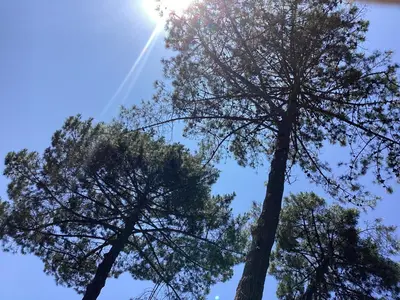 Paysage naturel près de la villa