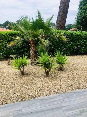 Jardin de l'établissement Southwest Hossegor