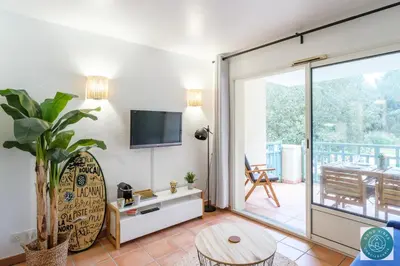 Télévision ou salle de divertissement dans l'établissement Les Pins dorés le petit nid douillet et cosy