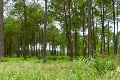 Paysage naturel près de l'appartement