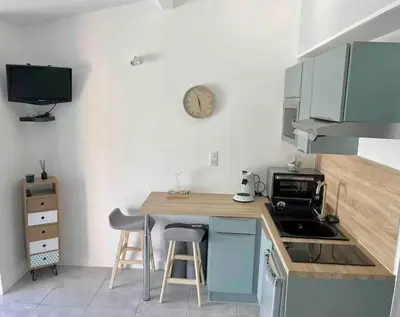 Cuisine ou kitchenette dans l'établissement La loge de Gustave, studio avec wifi et une place de parking privatif