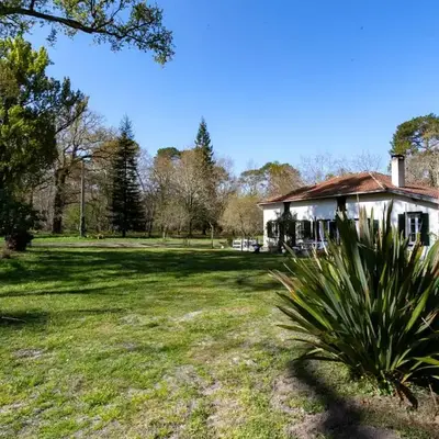 Domaine forestier Darricau au bord du lac