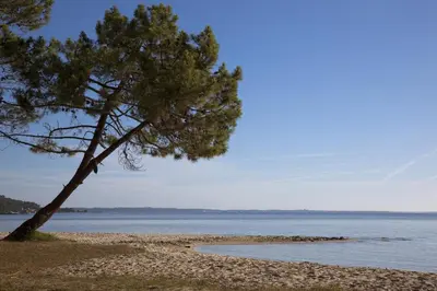 Paysage naturel près de le B&B/chambre d'hôtes