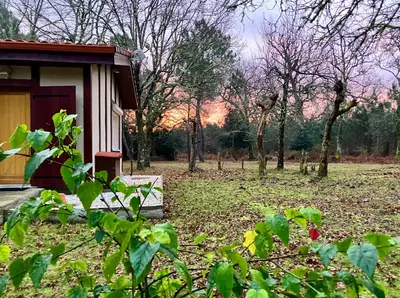Jardin de l'établissement Maison en forêt, calme, proche village et piste cyclable - meublé 3 étoiles