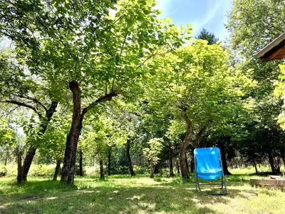Jardin de l'établissement Maison en forêt, calme, proche village et piste cyclable - meublé 3 étoiles