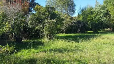 Paysage naturel près de l'appartement