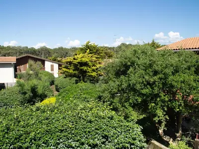 Paysage naturel près de la maison de vacances