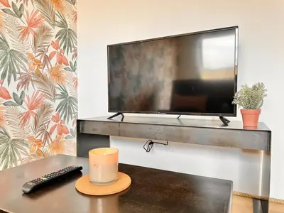 Télévision ou salle de divertissement dans l'établissement La Roseraie - Hyper Centre - Parking Privatif