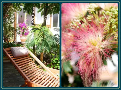 Jardin de l'établissement Les Embruns