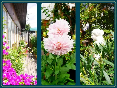 Jardin de l'établissement Les Embruns