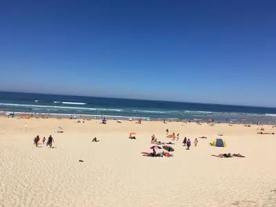 Plage de la villa ou située à proximité