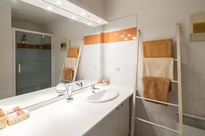 Salle de bains dans l'établissement Maison de vacances Navarrosse