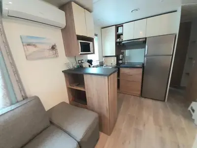 Cuisine ou kitchenette dans l'établissement Mobilhome Le Serenité - La Plage