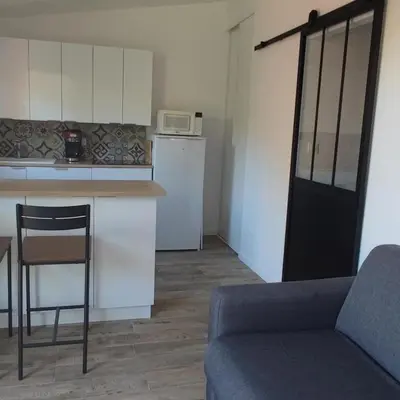 Cuisine ou kitchenette dans l'établissement A 10 minutes des plus belles plages landaises, charmant T2 avec jardin privatif