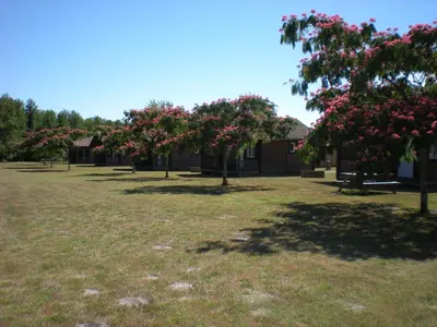 Jardin de l'établissement Camping familial les Chalets d'Uza
