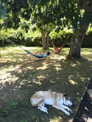 Animal ou animaux domestique(s) séjournant avec des clients dans l'établissement Maison landaise avec piscine proche Hossegor Capbreton