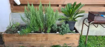 Jardin de l'établissement Villa OyamaÏ
