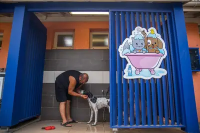 Animal ou animaux domestique(s) séjournant avec des clients dans l'établissement Camping Lou Pignada