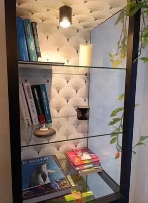 Bibliothèque dans l'appartement