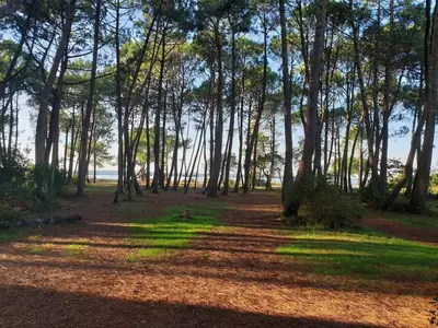 Paysage naturel près de le camping