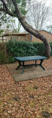 Jardin de l'établissement Mobilhome Premium