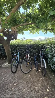 Vélo sur le terrain de l'établissement Villa Marguy - 100 m de l'Océan ou dans les environs