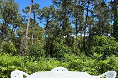 Jardin de l'établissement Bluegreen Appartement