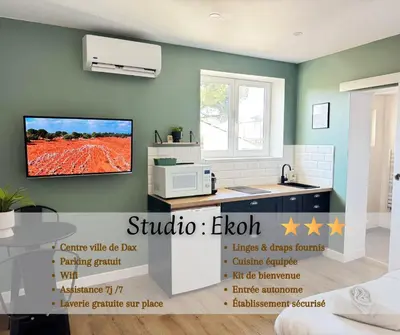 Télévision ou salle de divertissement dans l'établissement Studio Ekoh, centre de Dax