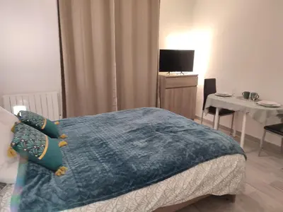 Un ou plusieurs lits dans un hébergement de l'établissement studio cosy la Dacquoise centre-ville internet haut-débit