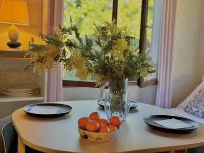 Nourriture dans l'appartement ou à proximité