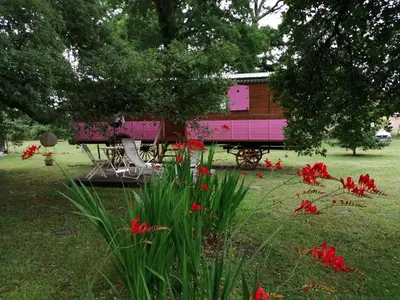 Jardin de l'établissement Roulotte de pellica