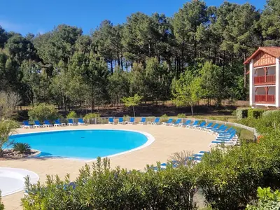 Piscine de l'établissement Appartement cosy sous pinède lac de Biscarrosse rénové ou située à proximité