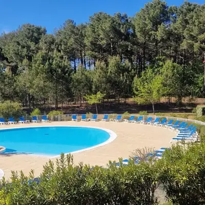 Appartement cosy sous pinède lac de Biscarrosse rénové