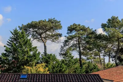 Plan de l'établissement Maison des Bonheurs Océaniques - Welkeys