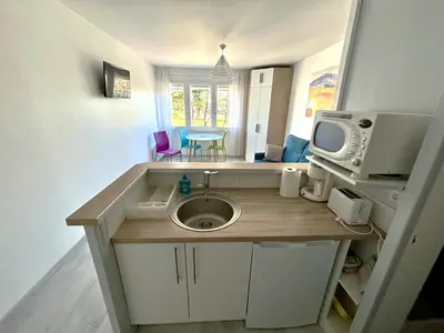 Cuisine ou kitchenette dans l'établissement La Forêt 5