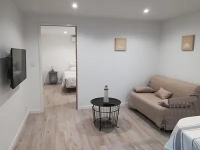 Télévision ou salle de divertissement dans l'établissement Maison basco landaise à 10 kms des plages