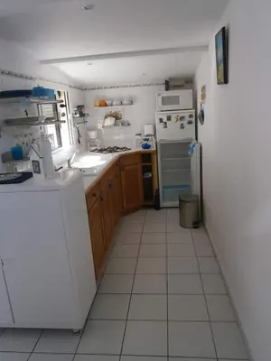 Cuisine ou kitchenette dans l'établissement APPART BISCA plage