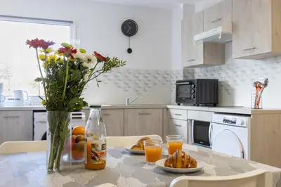 Cuisine ou kitchenette dans l'établissement L'Ilot Narossais 10 - idéal curiste - clim - proche Dax