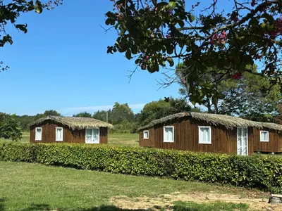 Jardin de l'établissement Chalet en bois