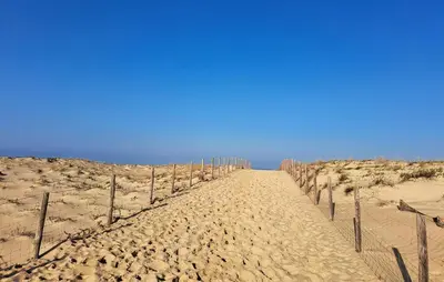 Paysage naturel près de le camping