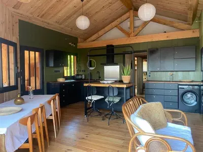 Cuisine ou kitchenette dans l'établissement New wooden house 300 m from beach, forest, 1 to 11 people