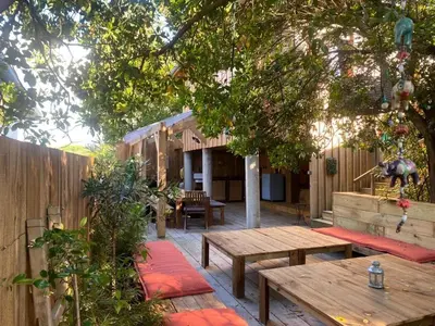 Jardin de l'établissement New wooden house 300 m from beach, forest, 1 to 11 people