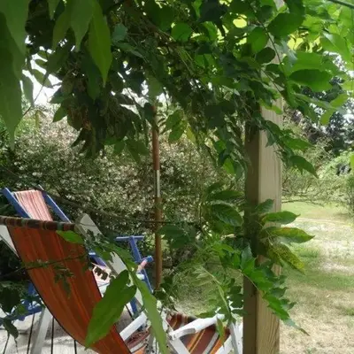 L atelier de PELLICA