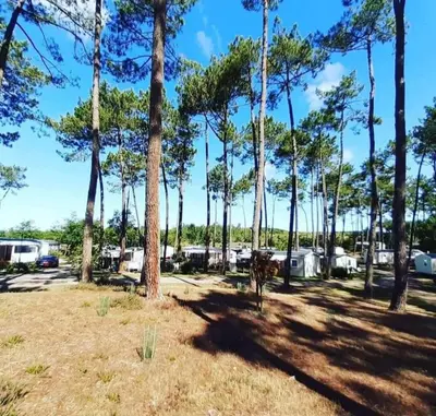 Paysage naturel près de l'appartement