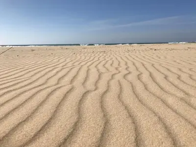 Paysage naturel près de la maison de vacances