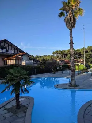 Piscine de l'établissement Capbreton 2 bedroom apartment between forest and beach ou située à proximité