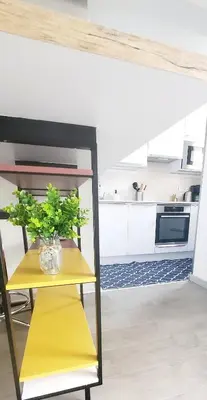 Cuisine ou kitchenette dans l'établissement A perfect apartment in Capbreton center