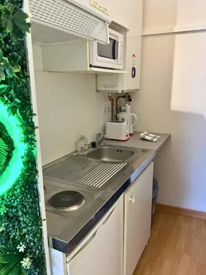 Cuisine ou kitchenette dans l'établissement Pitchoune - Centre -Wifi - Equipé